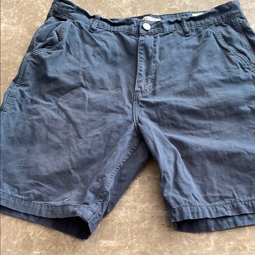 PacSun Blue Flat Front Shorts